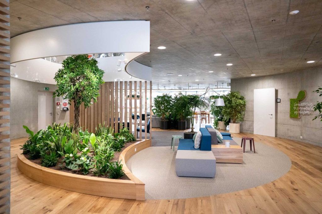 About | Amazon Interiors